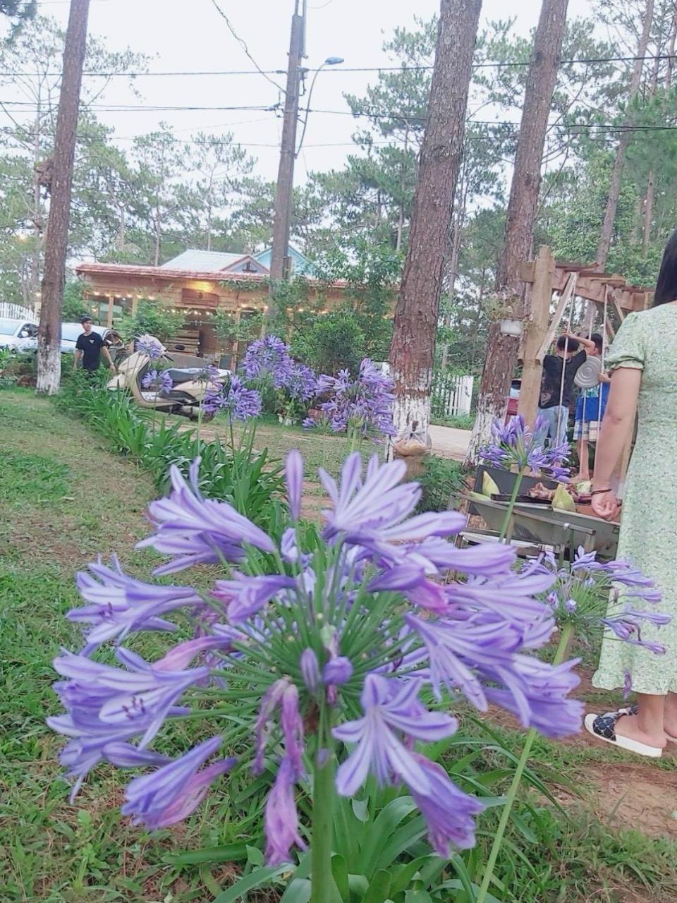 S'Nghe Homestay Mang Den Kon Von Kla Kültér fotó