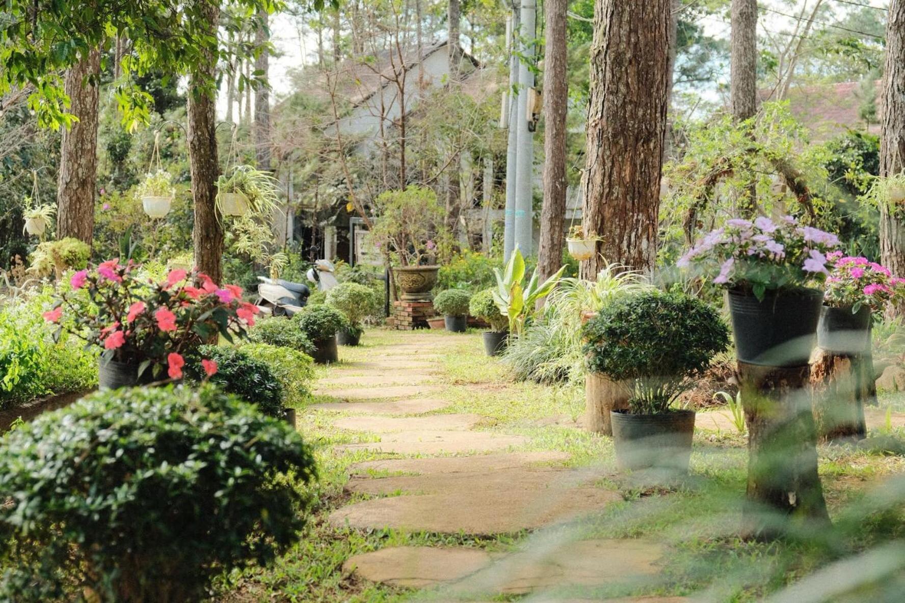 S'Nghe Homestay Mang Den Kon Von Kla Kültér fotó