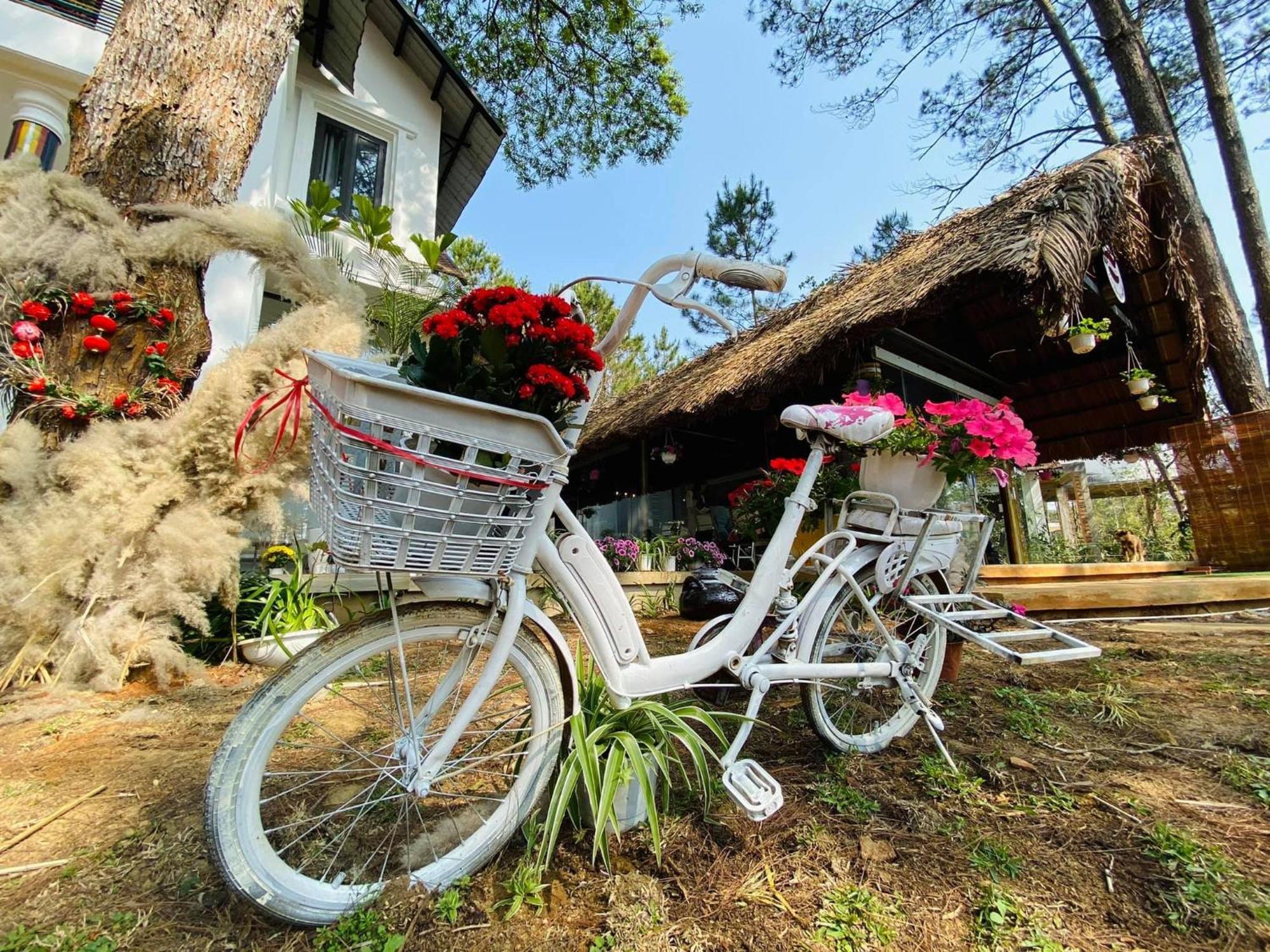S'Nghe Homestay Mang Den Kon Von Kla Kültér fotó